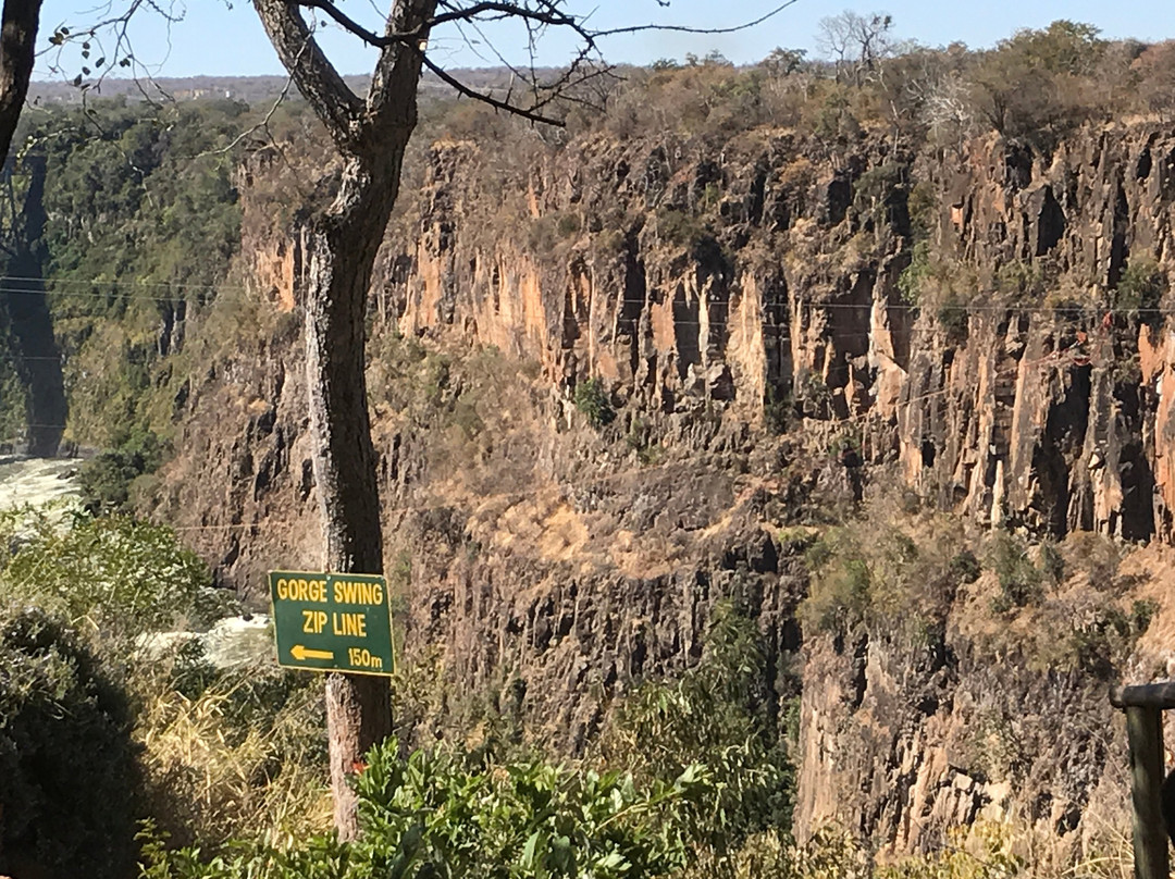 李文斯顿旅游攻略图片