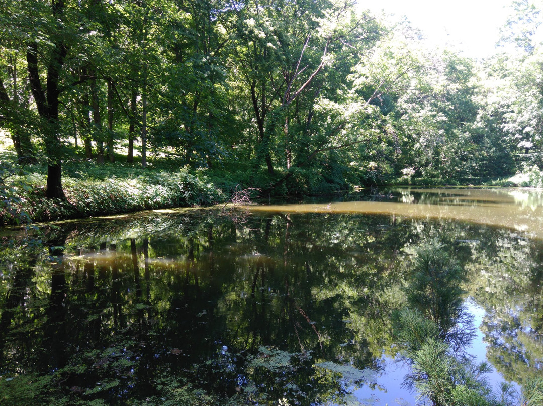 Krasnokutsk Arboretum-Krasnokutsk必去景点