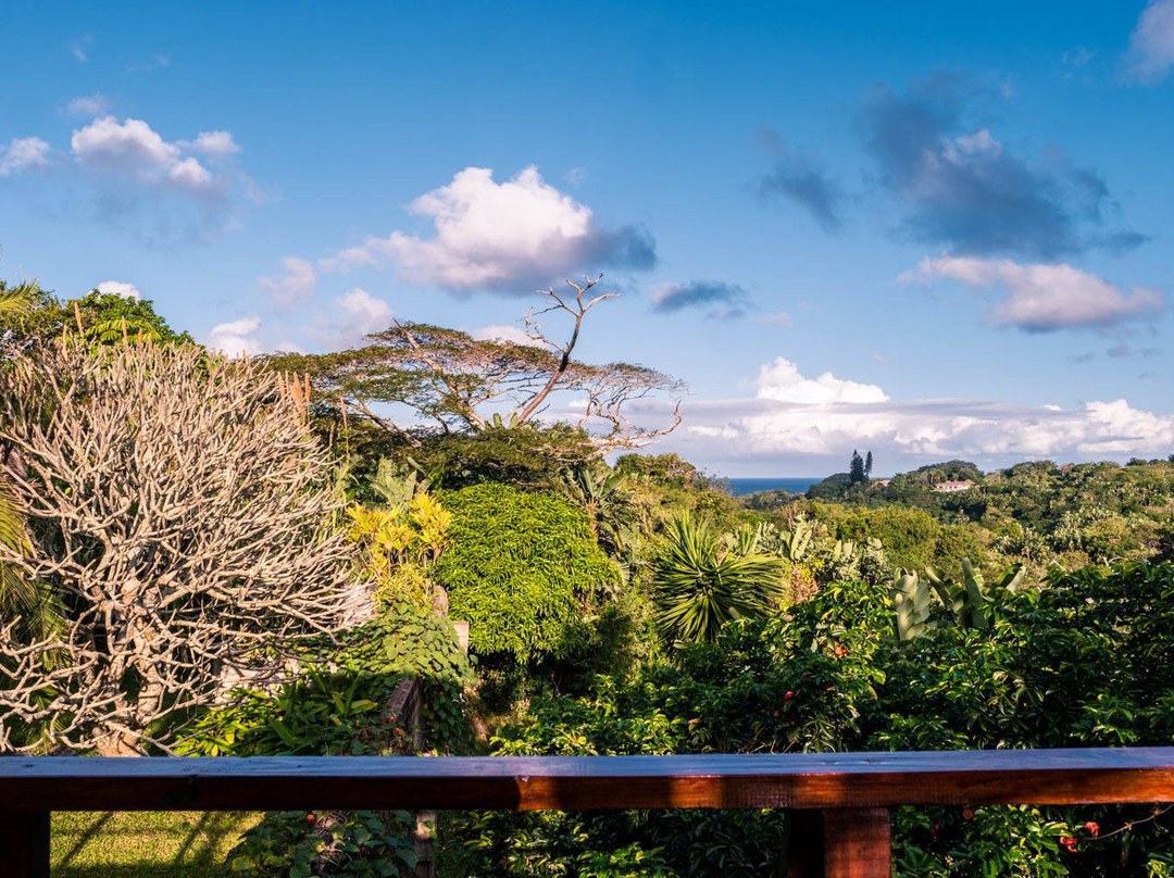 Bushbuck Lodge主图