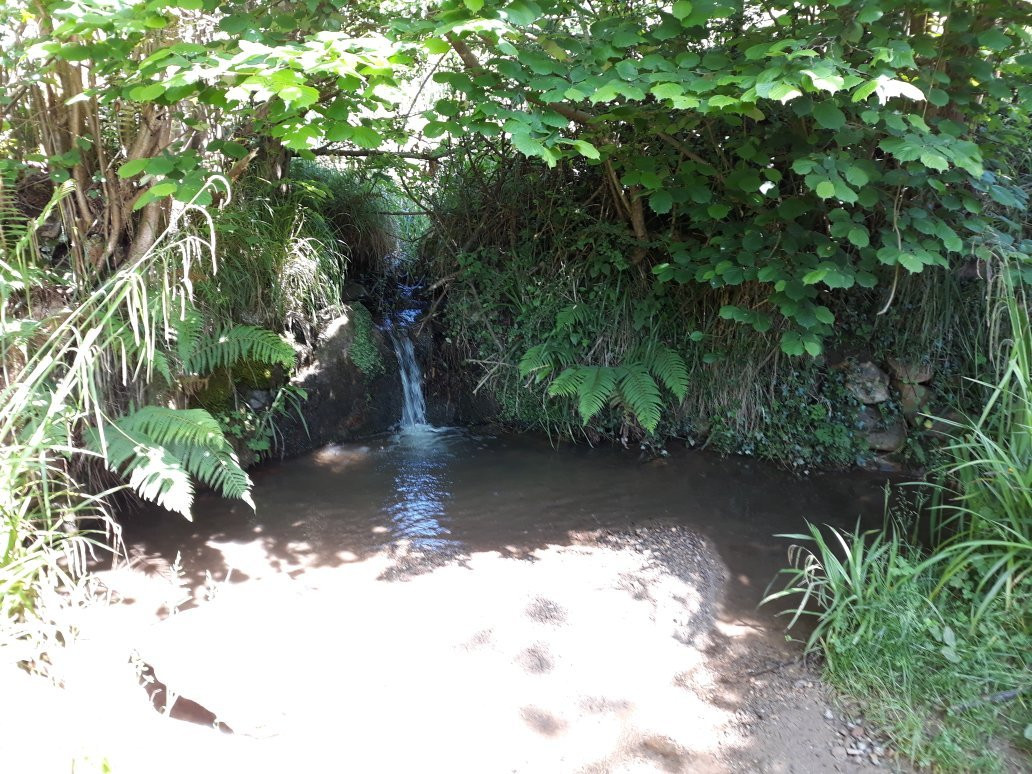 Trubia旅游攻略图片