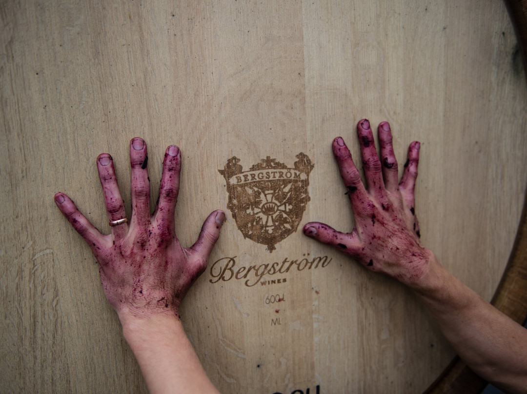 Bergstrom Wines景点图片