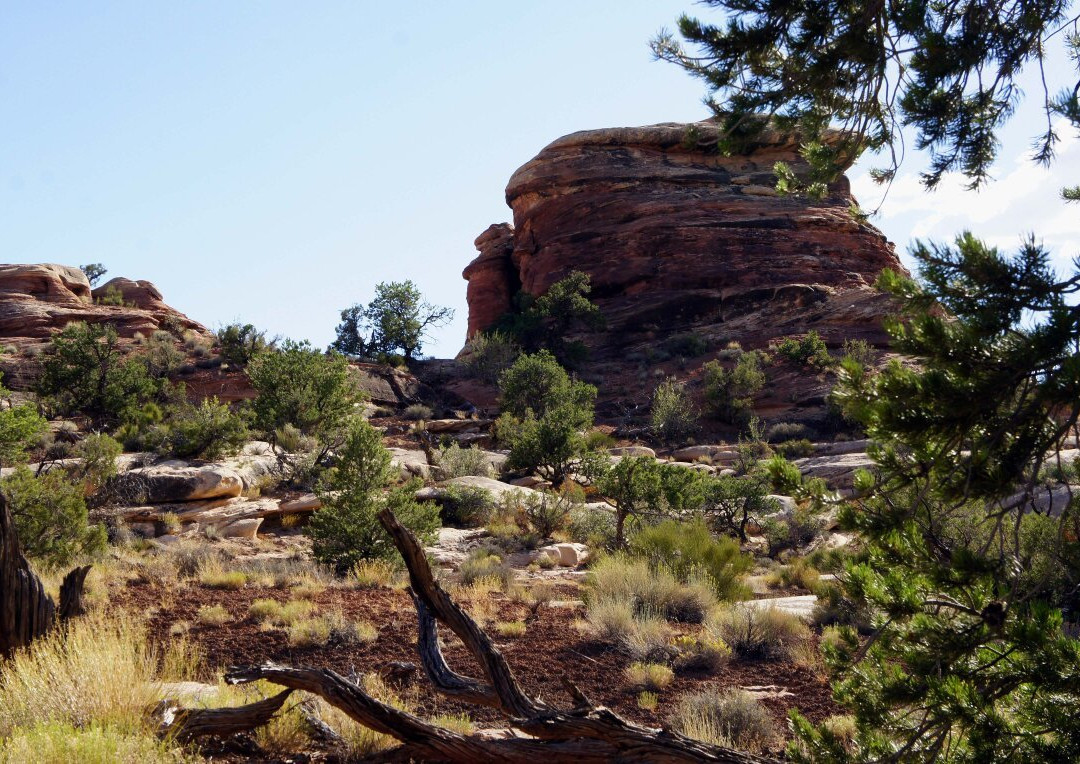 Confluence Overlook Trail-峡谷地国家公园必去景点