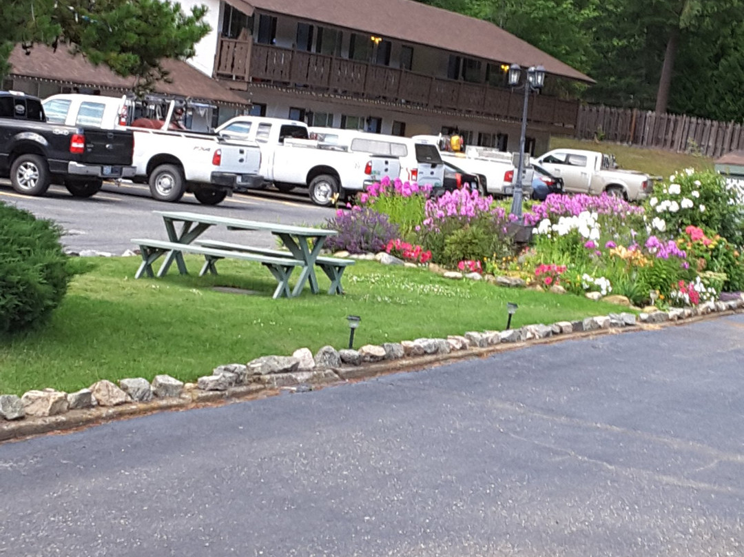 Canyon Alpine Motel主图