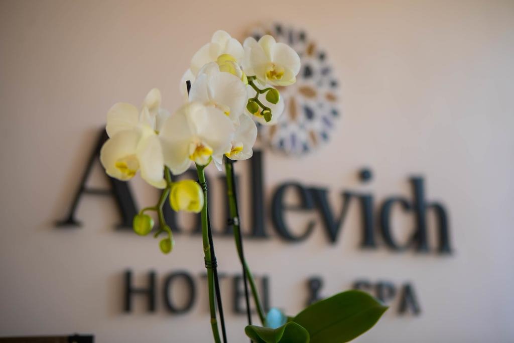 Hotel Anilevich Mansion-浴室