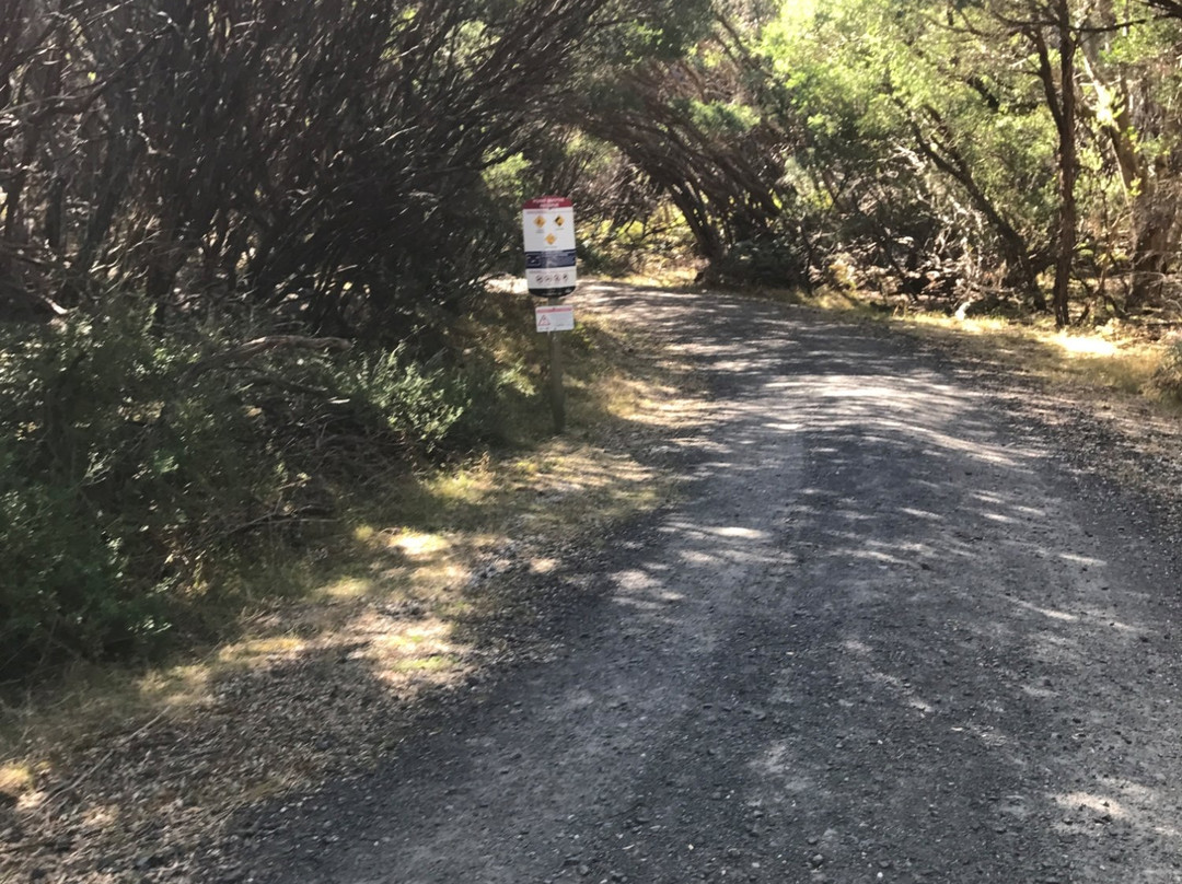 Point Smythe Nature Trail