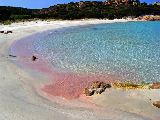 Blue Service La Maddalena-拉马达莱娜必去景点