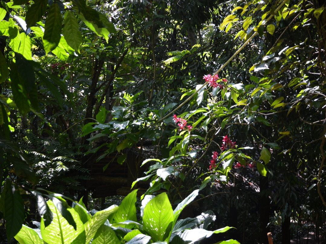New Ranweli Spice Garden景点图片