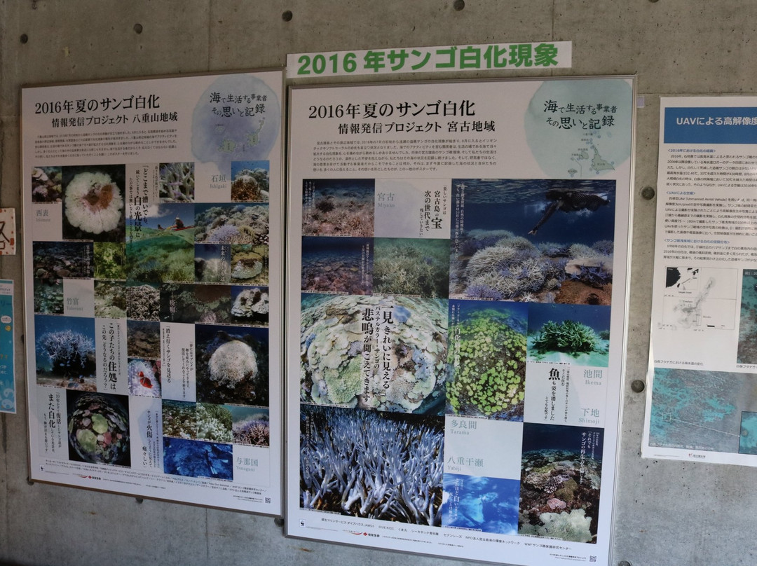 WWF Japan Coral Reef Conservation and Research Center景点图片