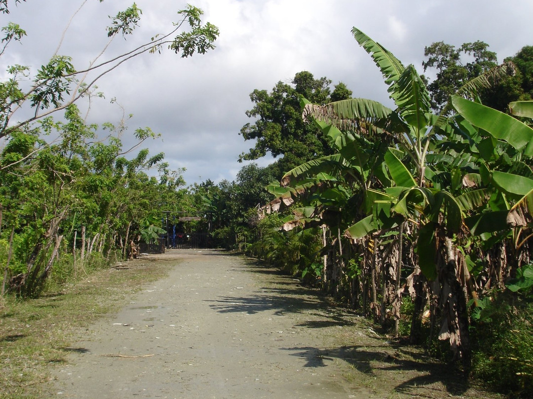 Away Day Country Park-Maimon必去景点