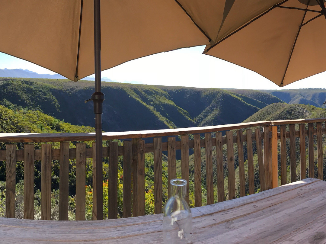 African Crags Eco-Lodge主图