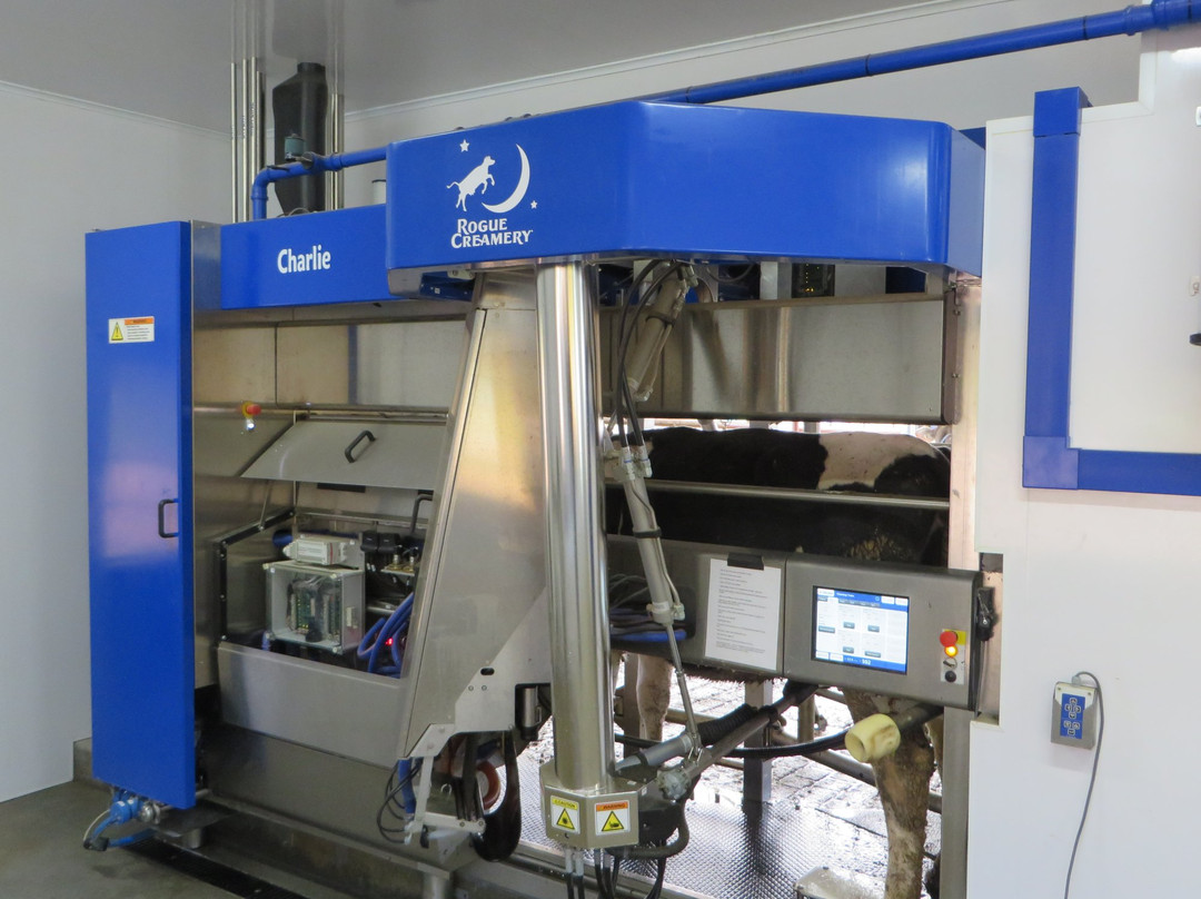 Rogue Creamery Dairy Farm-格兰茨帕斯必去景点