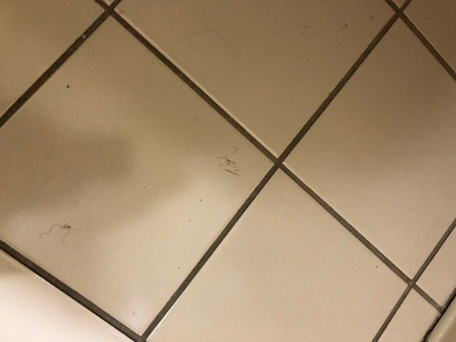 Days Inn By Wyndham Coliseum Montgomery AL主图