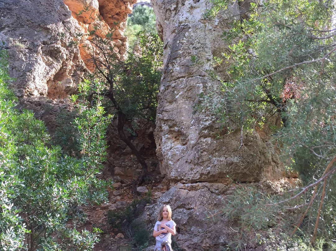 Cueva del Parpallo-甘迪亚必去景点