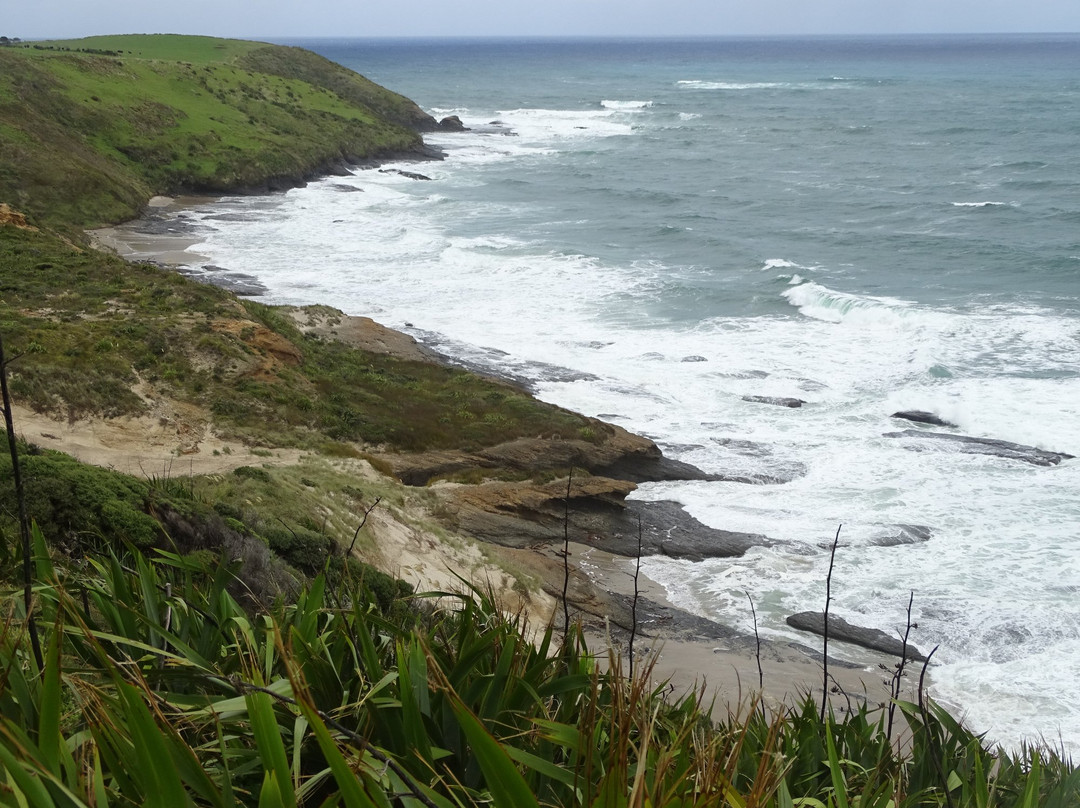 Waimamaku Coastal Track-Opononi必去景点