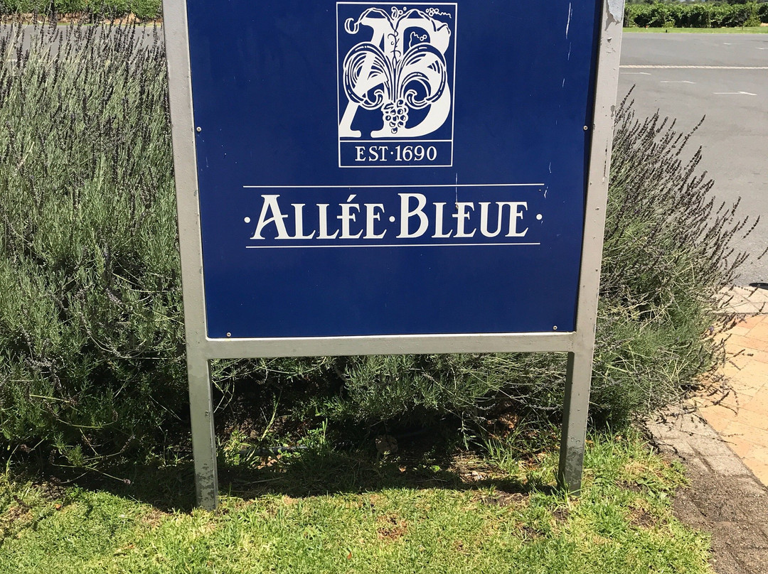 Allee Bleue Wine Estate-格鲁特•达肯斯恩山脉必去景点