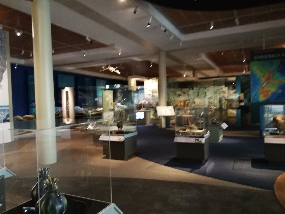 奥塔哥博物馆景点图片