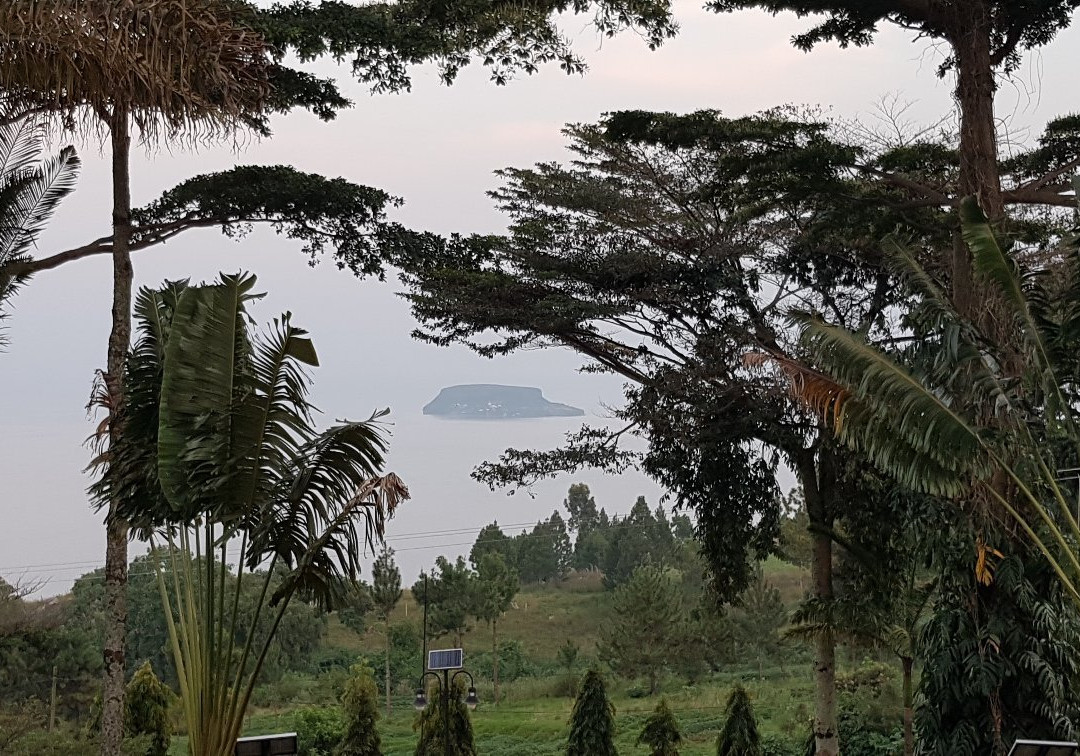 BCD Stella Hotel主图