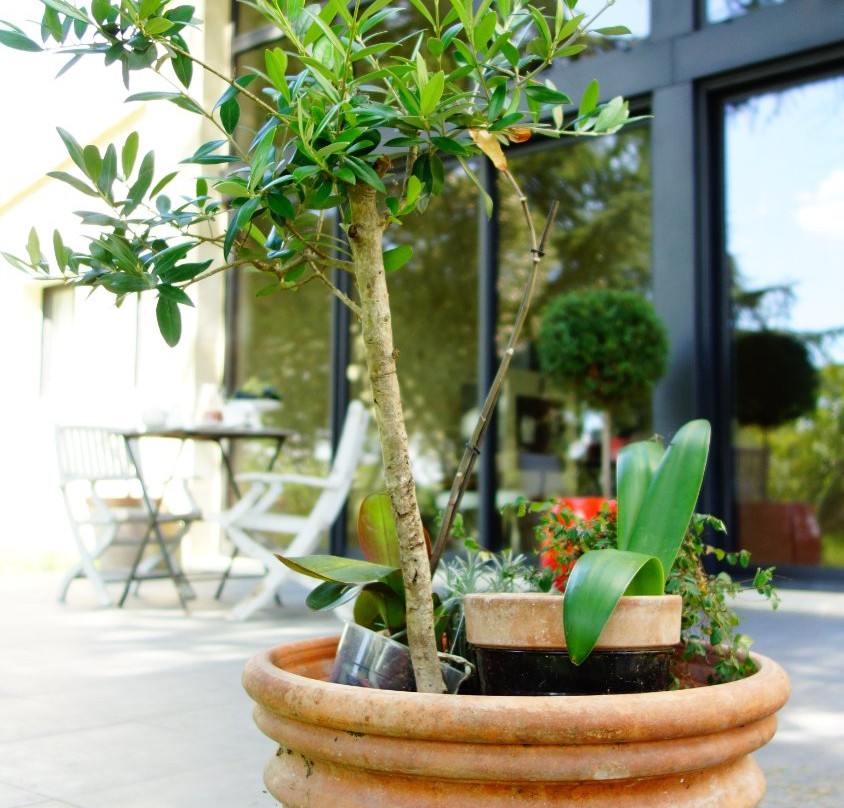 La Petite Girondine, La Suite...主图