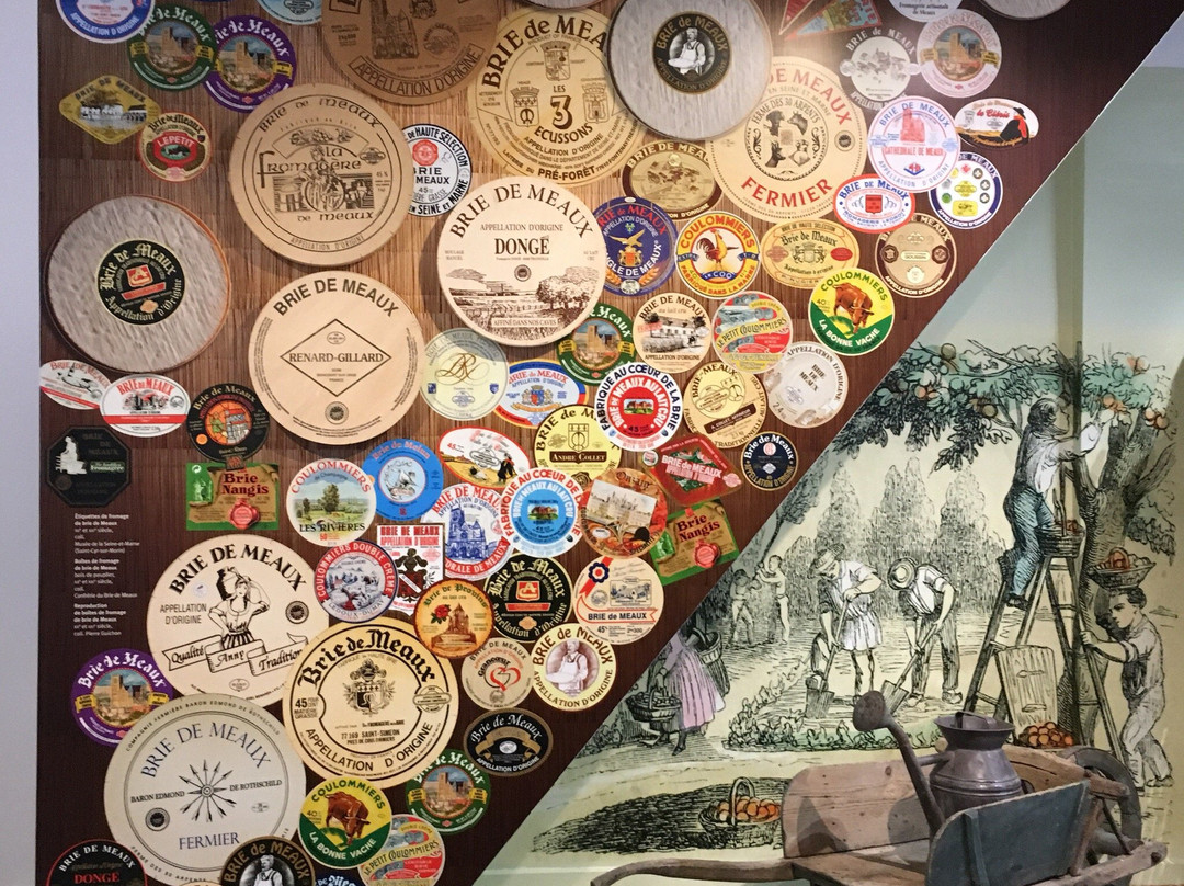 Maison du Brie de Meaux-莫城必去景点