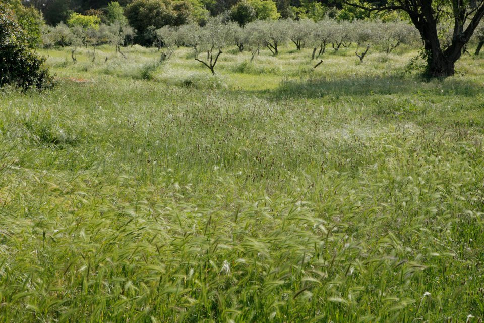Domaine Costes-Cirgues-Sommieres必去景点