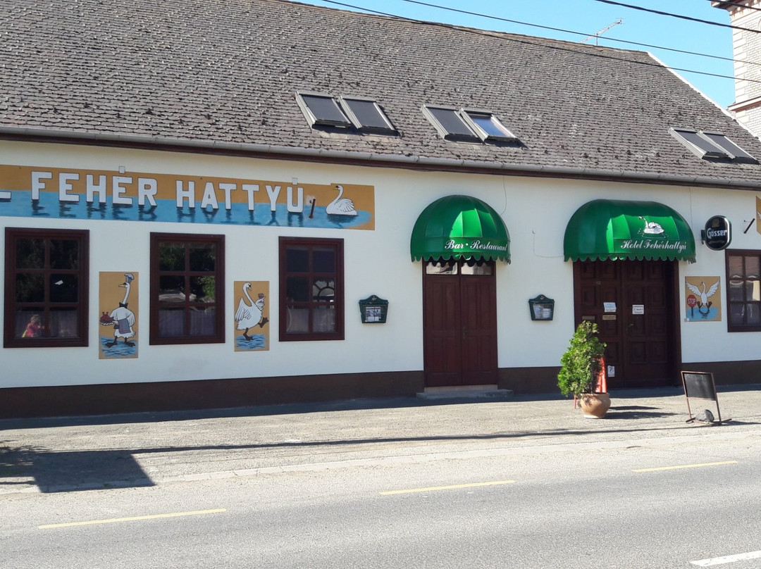 Fehér Hattyú主图