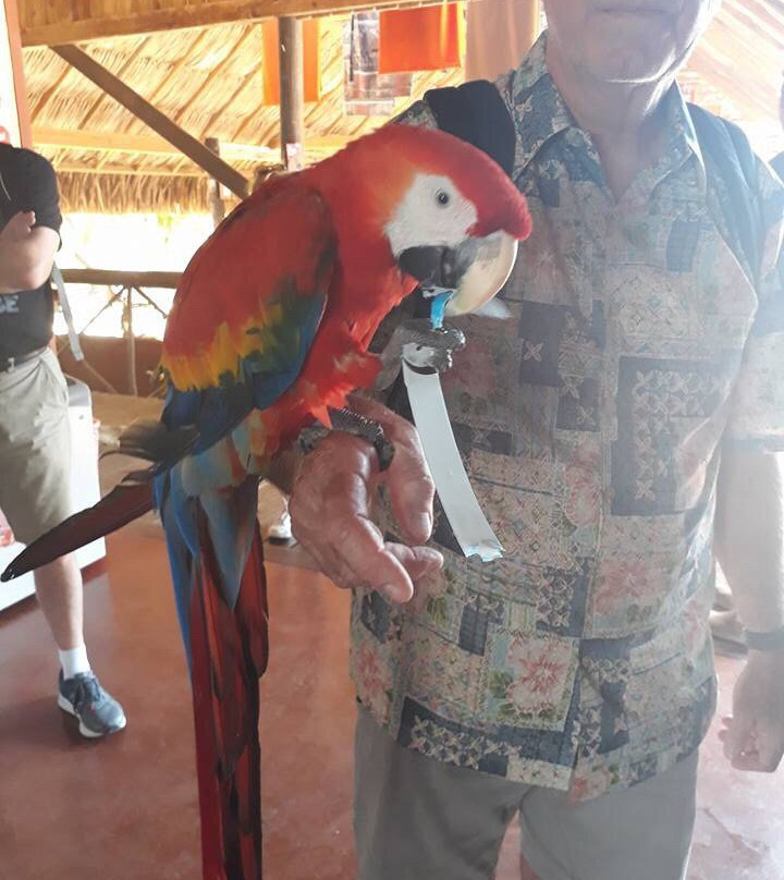 Curaçao Fascinating Tours景点图片