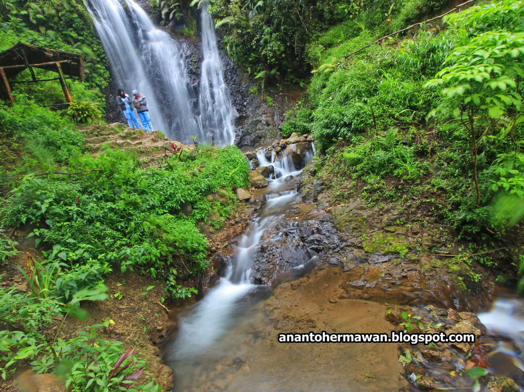 Tirtasari Waterfall景点图片