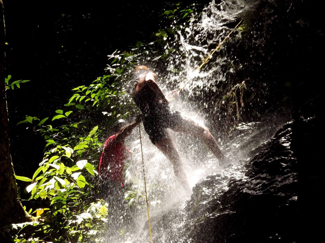 Jungle Xperience Suriname景点图片