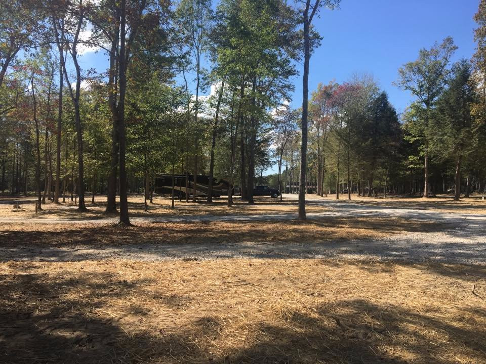 Old Mill Camp