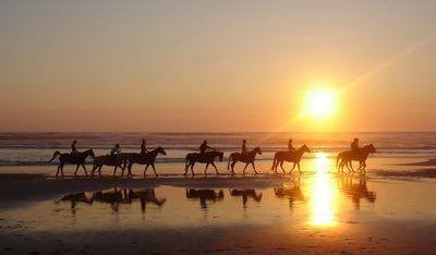 Equitation Ranchacienda-奥瑞尔必去景点