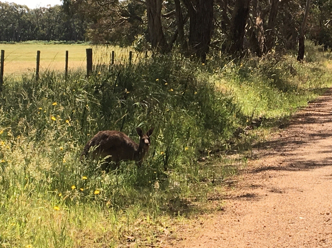 Dundas Range Scenic Reserve-Cavendish必去景点