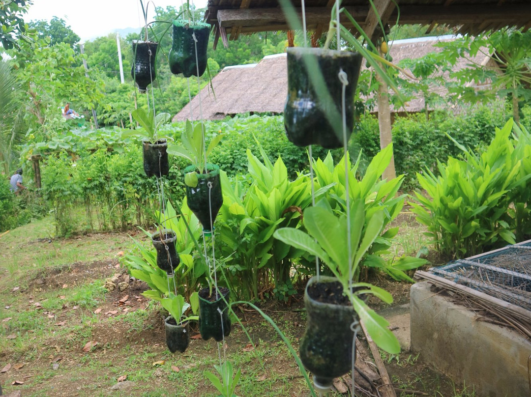 Maribojoc Organic Demonstration Farm-Maribojoc必去景点