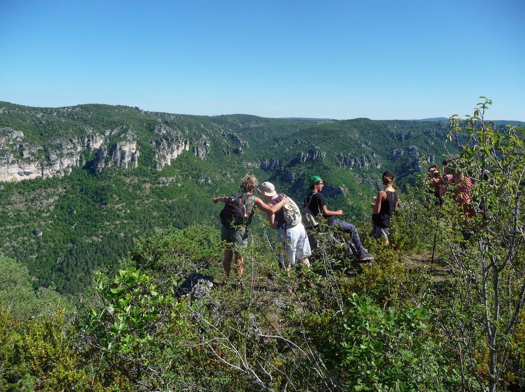 Office de Tourisme Larzac et Vallees景点图片