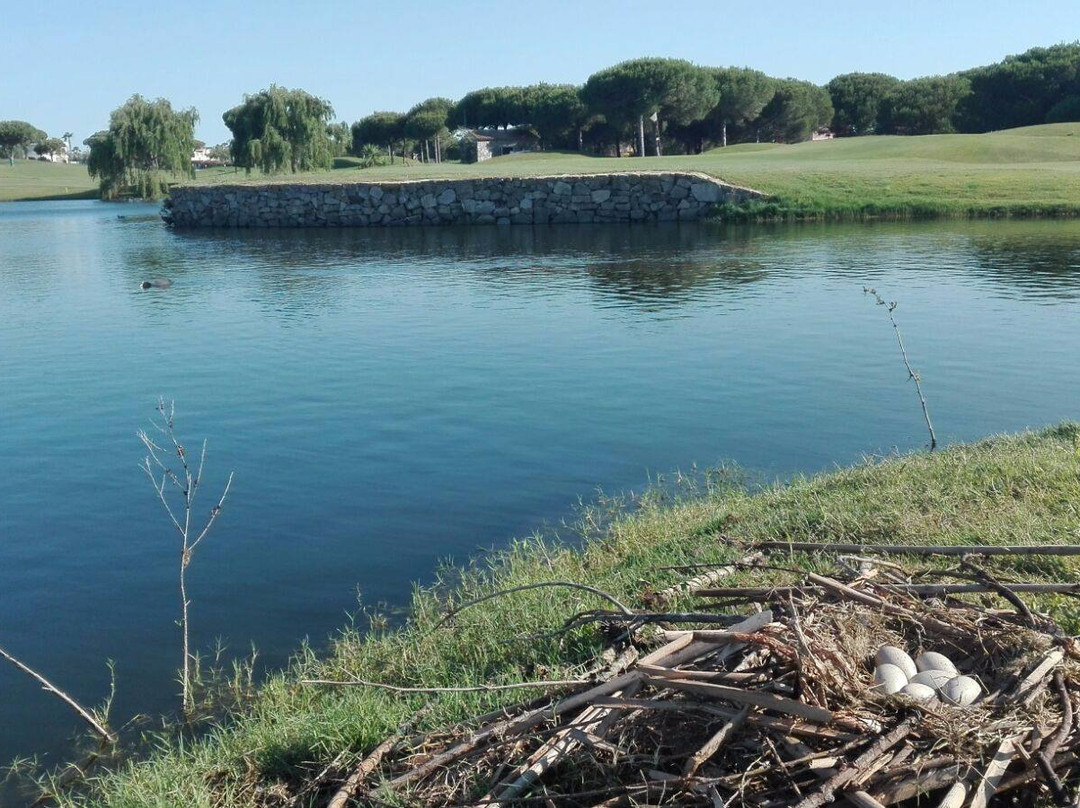Sancti Petri Hills Golf景点图片