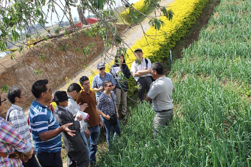 Finca Orgánica Tierra de Suenos景点图片
