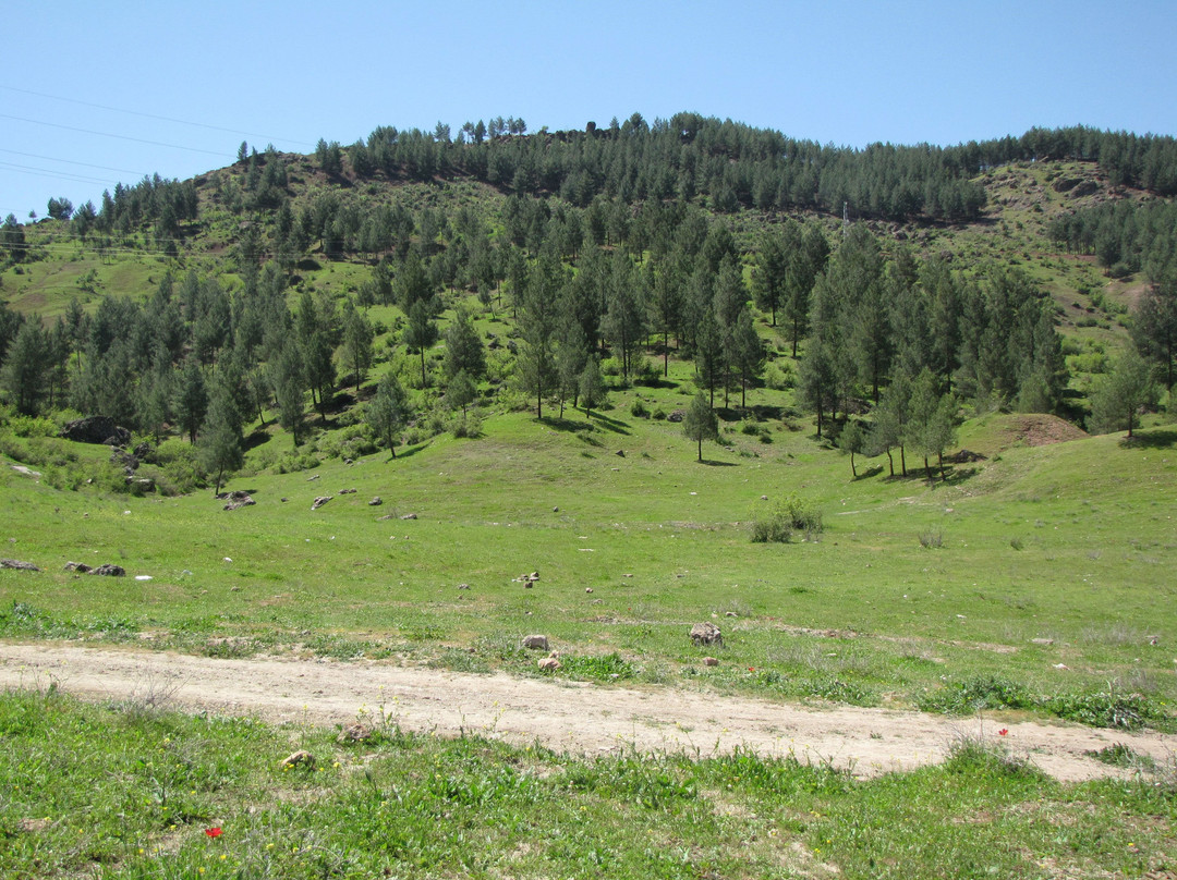Guroymak旅游景点-Hz. Veysel Karani Tabiat Parki