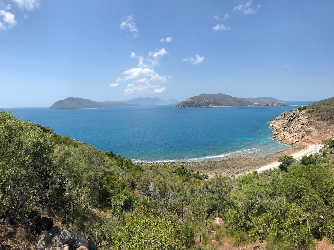 Orpheus Island旅游攻略图片