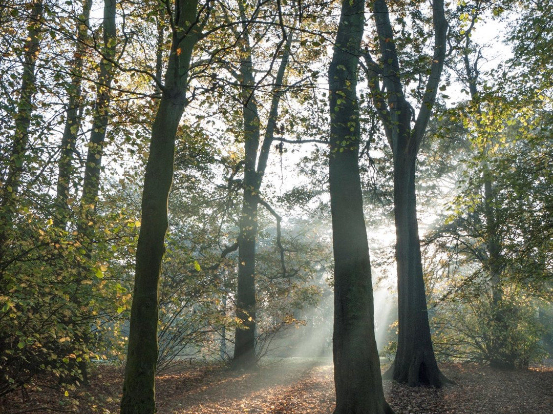Hurst Grange Park景点图片