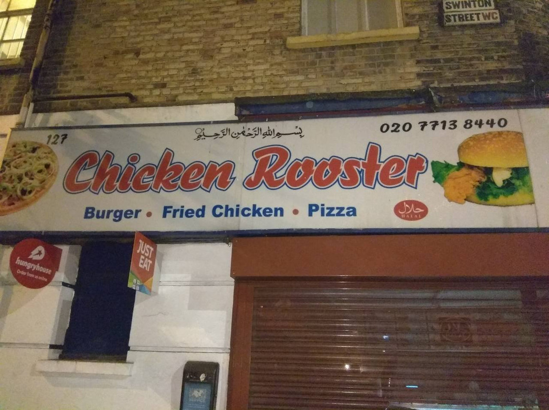 King Rooster