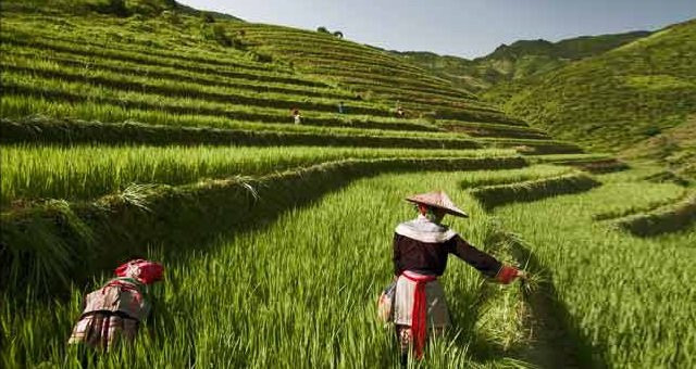 Sapa Tours With Pham景点图片