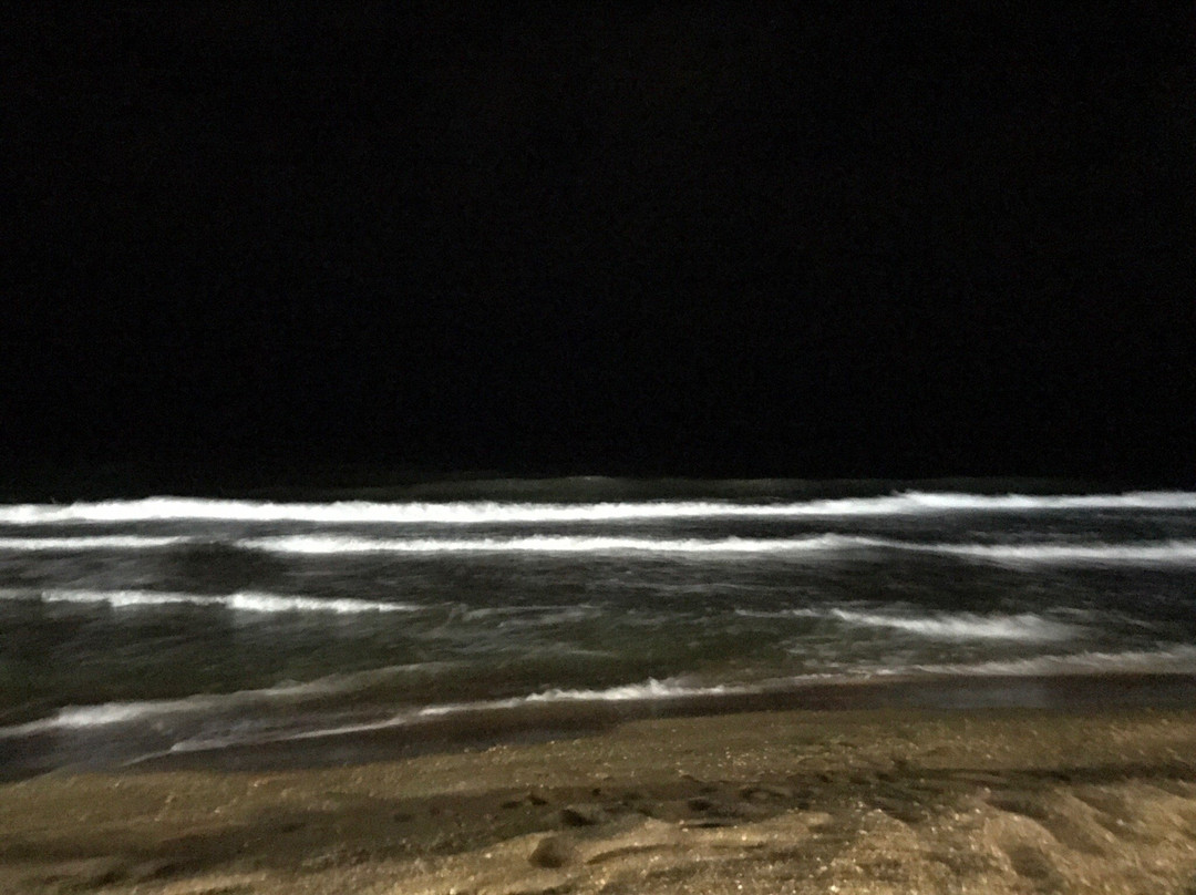 Hotel-Villa Oazis主图