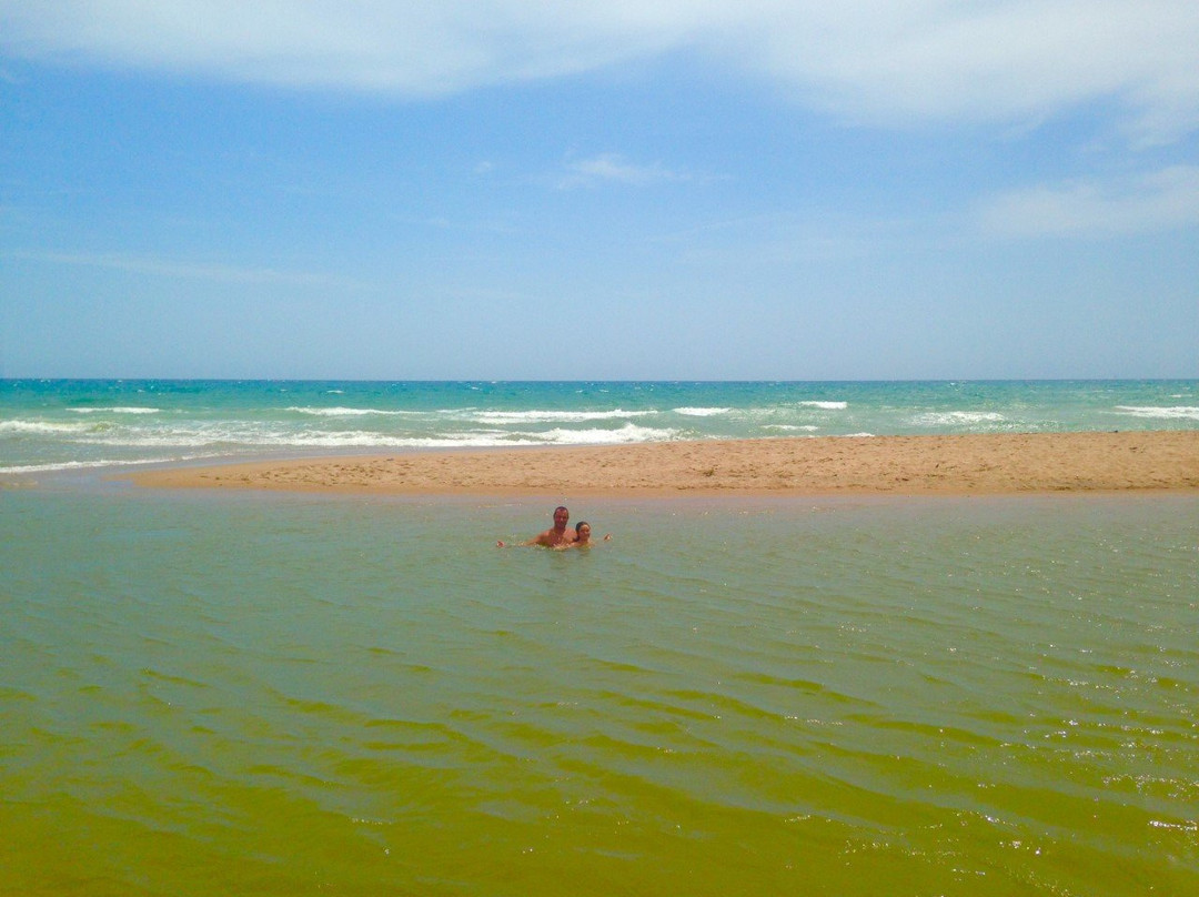 Playa de la Gola del Ter景点图片