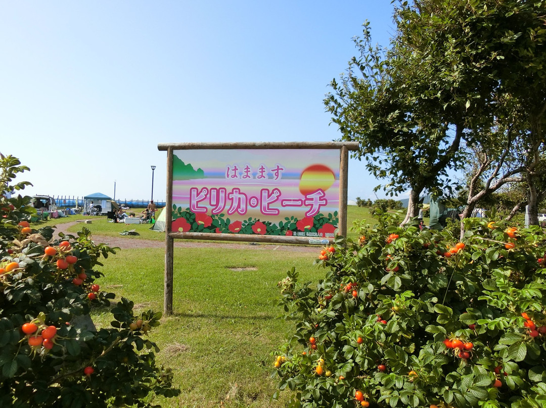 Kawashimo Kaihin Park-石狩市必去景点