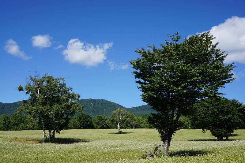 Takatsue Sobabatake-南会津町必去景点
