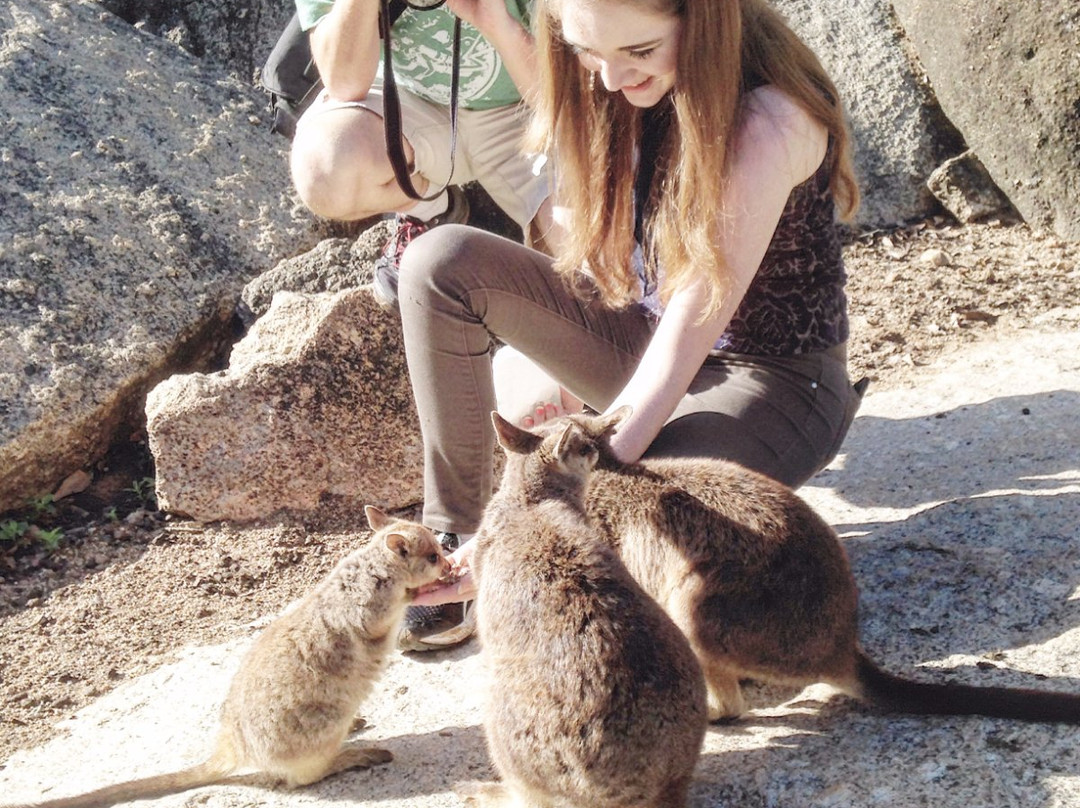 Tablelands Tours-凯恩斯必去景点