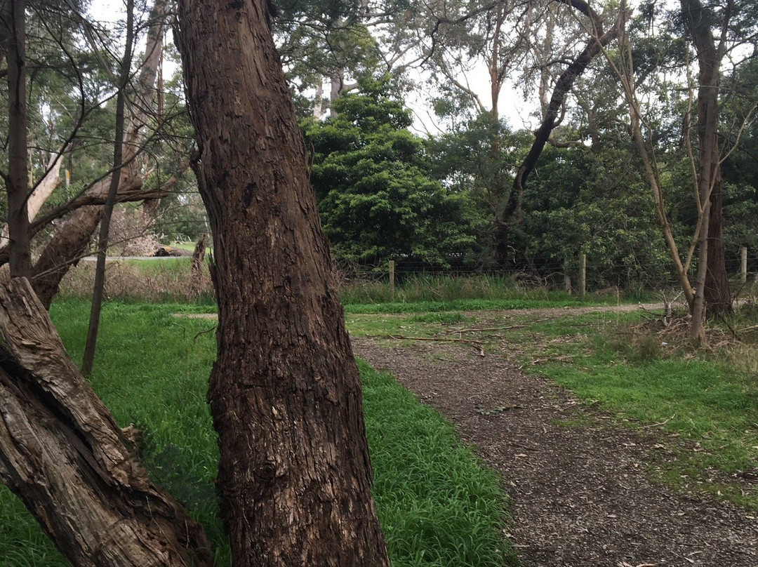 Olivers Creek Bushland Reserve景点图片