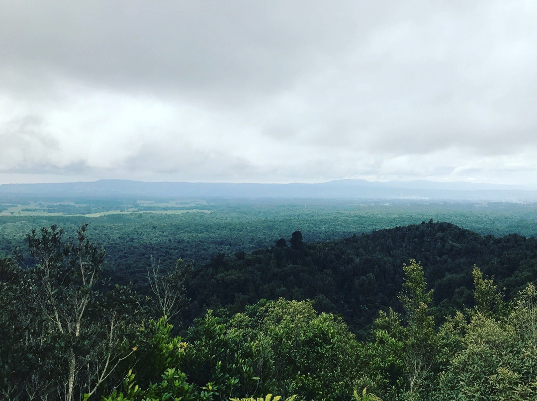 Mount Otanewainuku景点图片