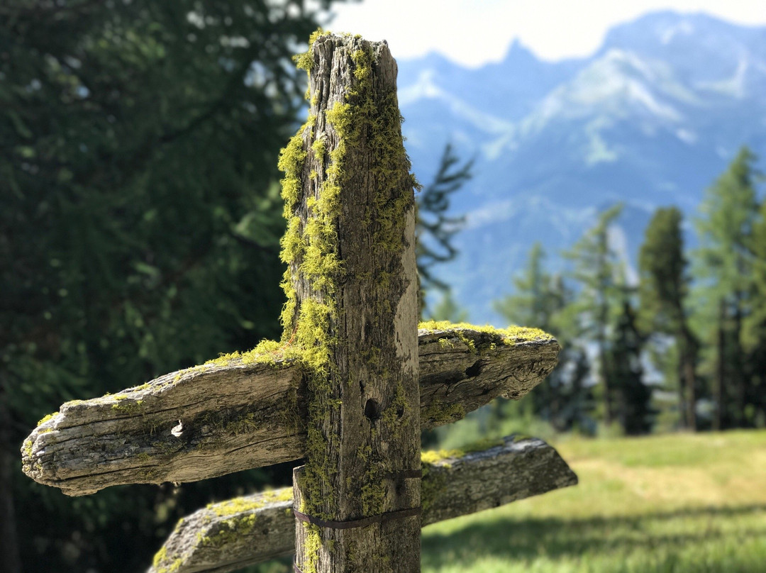 Sentier Panoramique de Tracouet景点图片