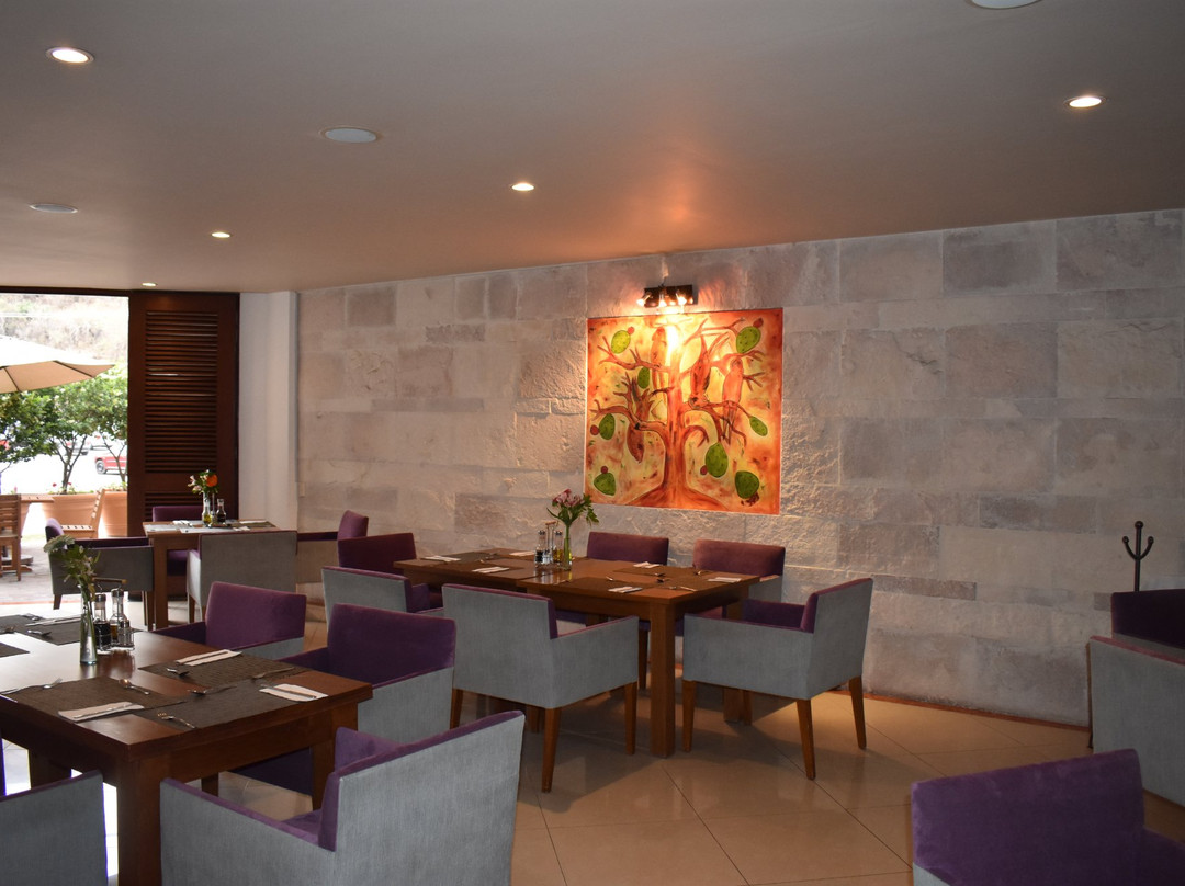 Santa Rosa酒店住宿-Hotel Suites Corazón Mexicano
