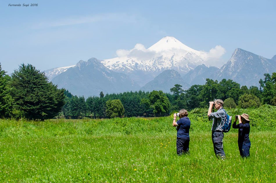 Pucon Birding-普孔必去景点